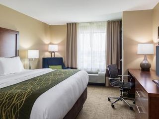 Hotel pic Comfort Suites Hopkinsville