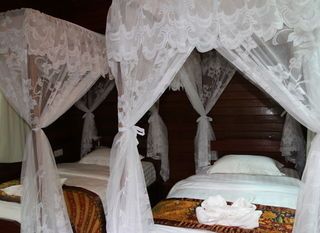 Фото отеля Borneo Natural Sukau Bilit Resort