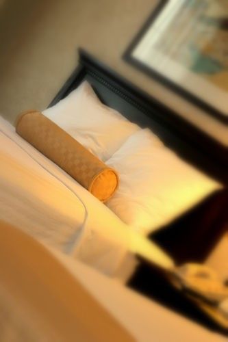 صورة الفندق 20