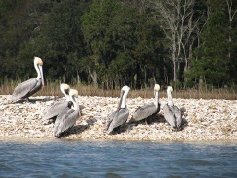 صورة الفندق 15