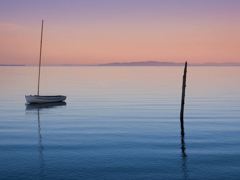 صورة الفندق 24