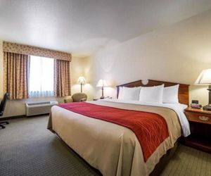 SureStay Plus Hotel by Best Western Buffalo Buffalo United States