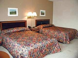 صورة الفندق 4