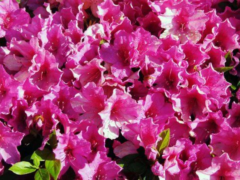 صورة الفندق 19