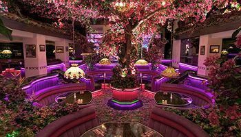 酒店图片 21