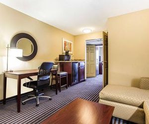 Comfort Inn & Suites Ballpark Area Smyrna United States