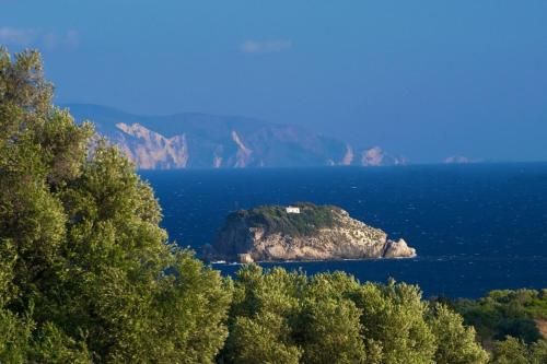 صورة الفندق 15
