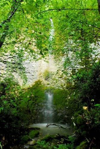صورة الفندق 19