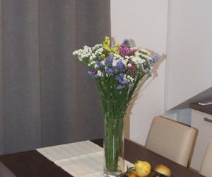 Apartments Ida Supetar Croatia
