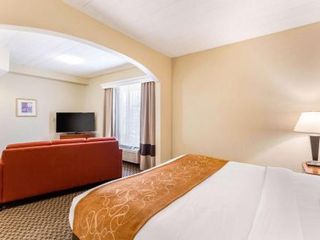Hotel pic Comfort Suites Columbia Gateway