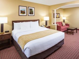 Фото отеля Comfort Inn & Suites Near Burke Mountain