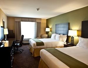 Holiday Inn Express and Suites Detroit North-Troy Troy United States