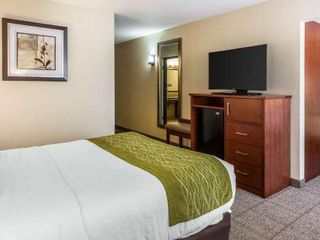 Hotel pic Comfort Inn & Suites Near Fallon Naval Air Station