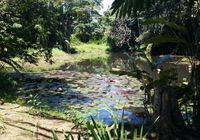 Отзывы Colo-I-Suva Rainforest Eco Resort, 3 звезды