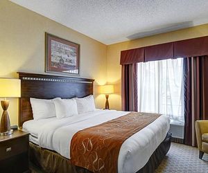 Comfort Suites Conway Conway United States