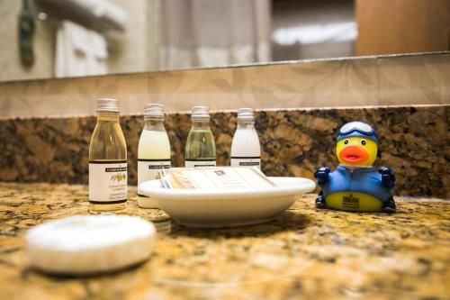 Hotel Photo 16