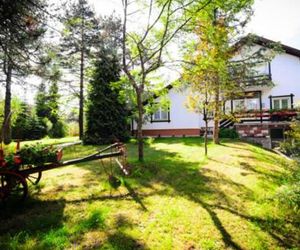 Apartments Breza Zlatibor Serbia