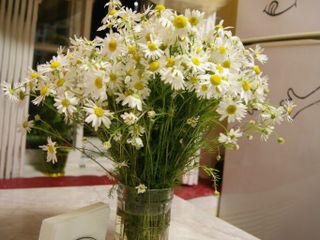 Хостел Hand Made