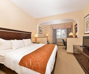 Quality Inn & Suites Denver North - Westminster Westminster United States