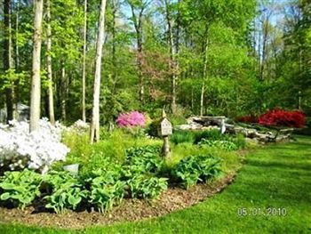 صورة الفندق 7