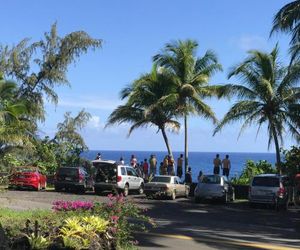 Coconut Palms Vacation Rental near lava fields and beaches Pahoa United States