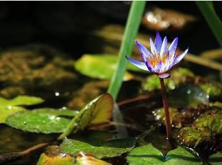 صورة الفندق 15