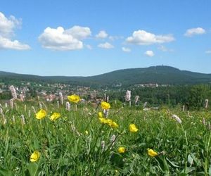 Harzpension Haus Königskopf Braunlage Germany