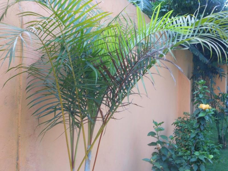 صورة الفندق 14