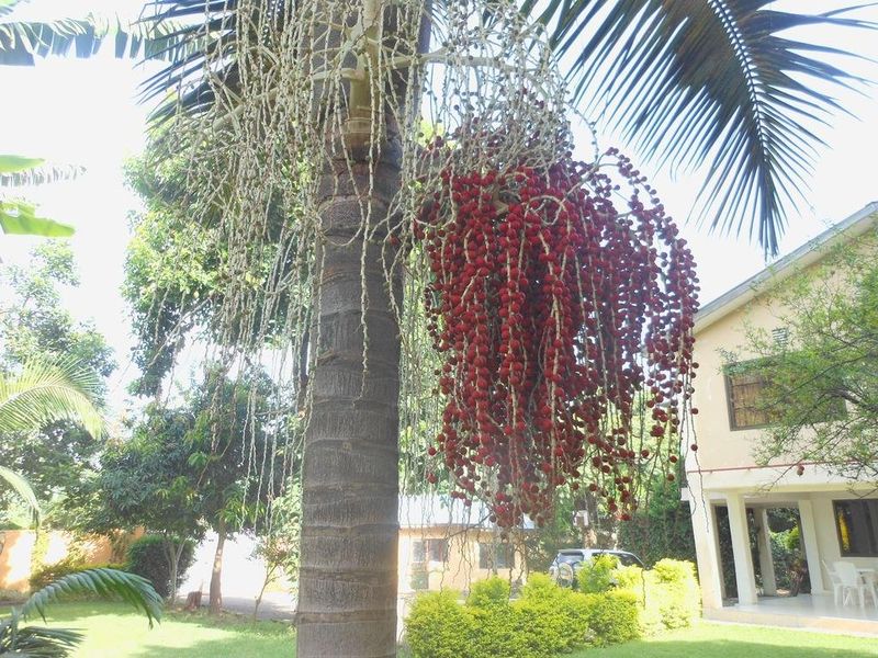 صورة الفندق 19