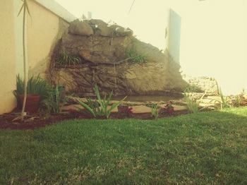 صورة الفندق 20