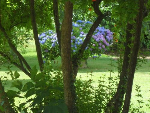 صورة الفندق 8