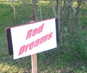 Red Dreams Guesthouse Geldenaken Belgium
