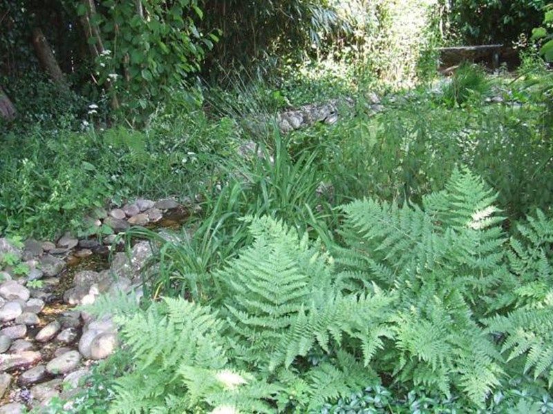 صورة الفندق 1