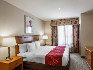 Hotel pic Comfort Suites Glendale - State Farm Stadium Area