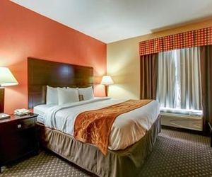 Comfort Suites At Rivergate Mall Goodlettsville United States
