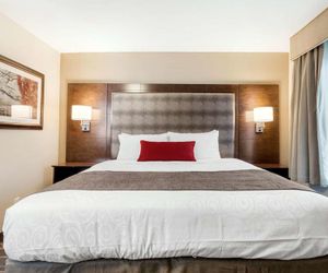 Best Western Plus Grand Castle Inn & Suites Grand Rapids West Grandville United States