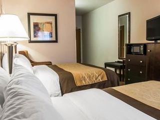 Hotel pic Comfort Inn & Suites Fenton