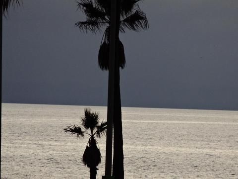 صورة الفندق 20