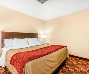 Comfort Inn & Suites Jasper Hwy 78 West Jasper United States