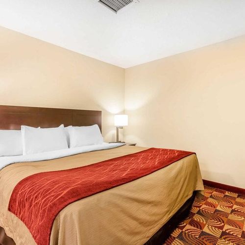 Photo of Comfort Inn & Suites Jasper Hwy 78 West