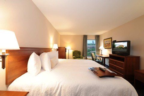 Hampton Inn Hotel Atlanta-Southlake