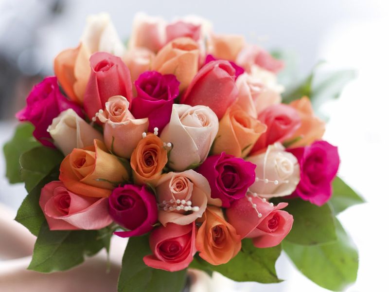 صورة الفندق 15