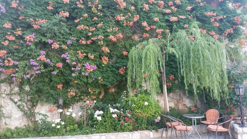 صورة الفندق 19