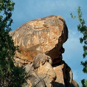 صورة الفندق 18