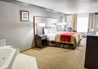 Отзывы Comfort Inn & Suites Near Universal — North Hollywood – Burbank, 3 звезды