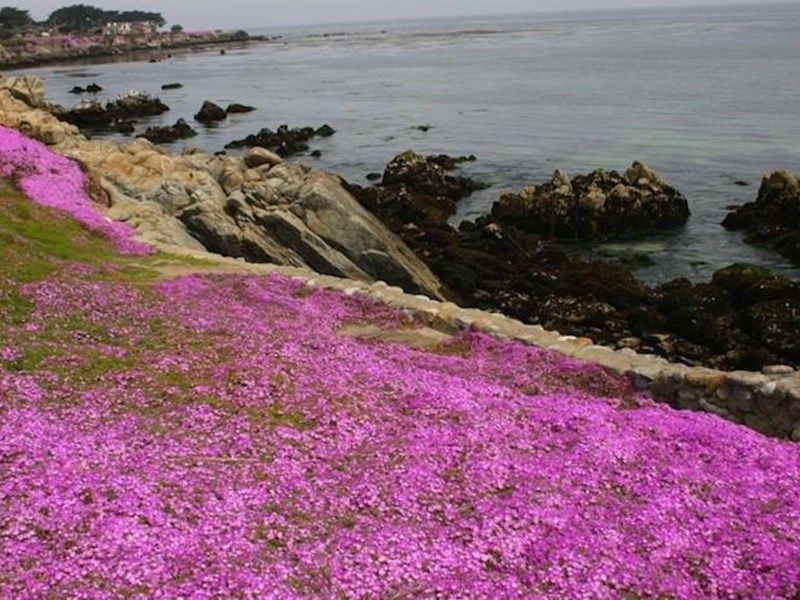 صورة الفندق 20