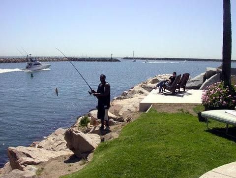 صورة الفندق 15