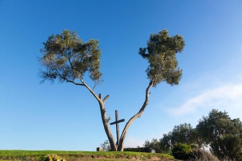 صورة الفندق 18