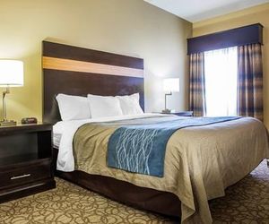 Comfort Inn & Suites at Stone Mountain Stone Mountain United States
