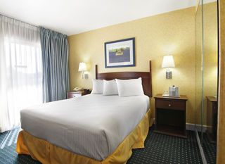 Фото отеля Holiday Inn - Salem, an IHG Hotel